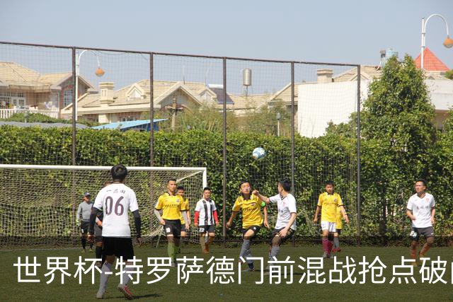 世界杯-特罗萨德门前混战抢点破门 半场比利时1-0新西兰