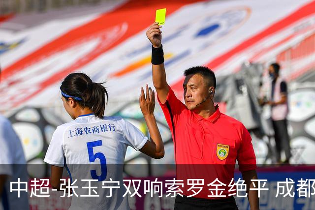 中超-张玉宁双响索罗金绝平 成都连扳两球2-2国安4连平